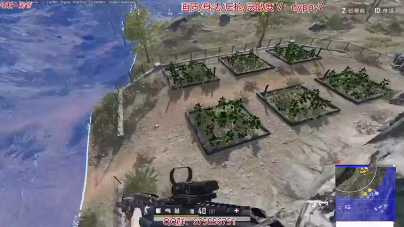 【2021-11-09 11点场】PP阳：单人四排秀翻场~