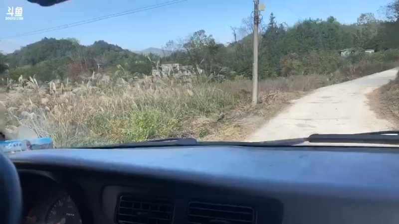 【2021-11-09 10点场】魅力生活i：今天干自家鱼塘