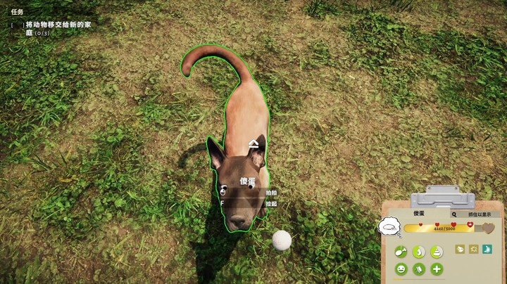 开一家动物收容所是什么体验《动物收容所模拟器》试玩P1