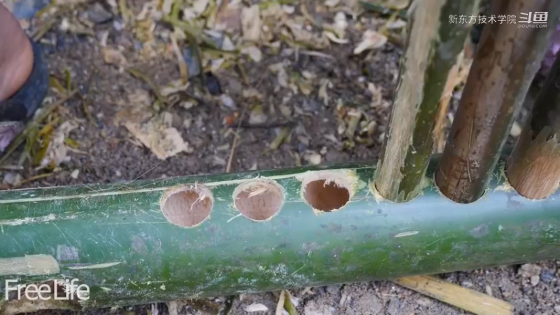 离网日常21必须要有秋千8妹子深入深山，离网日常