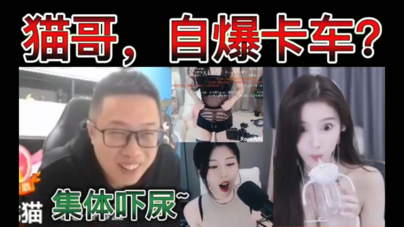 猫哥，自爆卡车？集体吓尿~