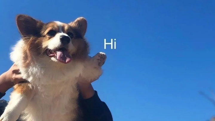 双双白给