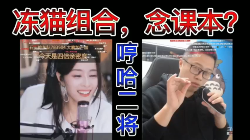 冻猫组合，哼哈二将，念课本？