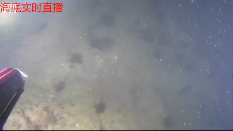 【2021-11-10 22点场】海道丶：今晚海底实时直播