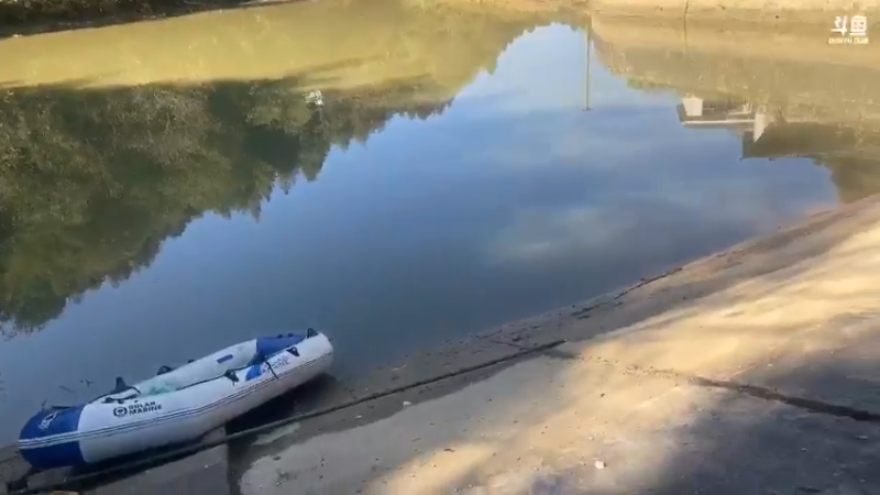 【2021-11-10 10点场】魅力生活i：继续干自家鱼塘