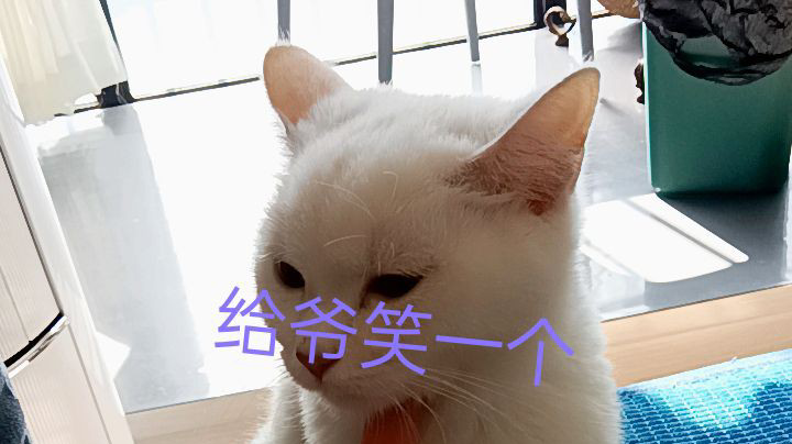 排位上分