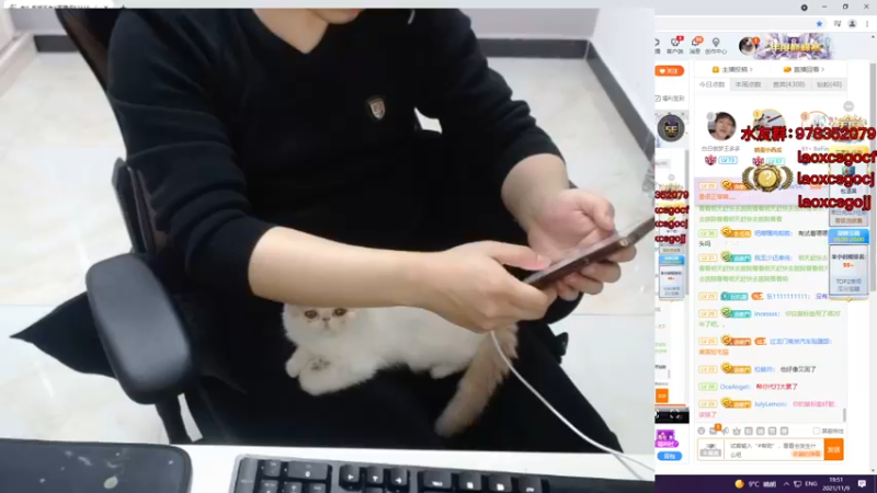 【2021-11-09 19点场】loveyou_qq：今天主播擂台赛