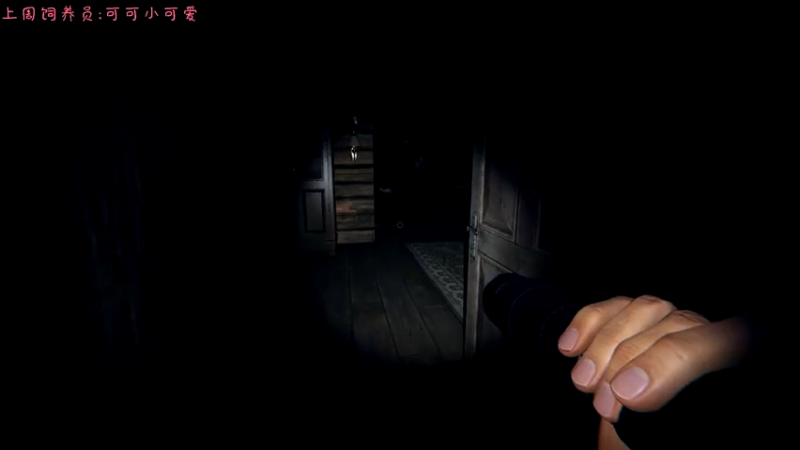 【2021-11-10 01点场】七潇丷：深情捂眼，恐怖游戏！！！