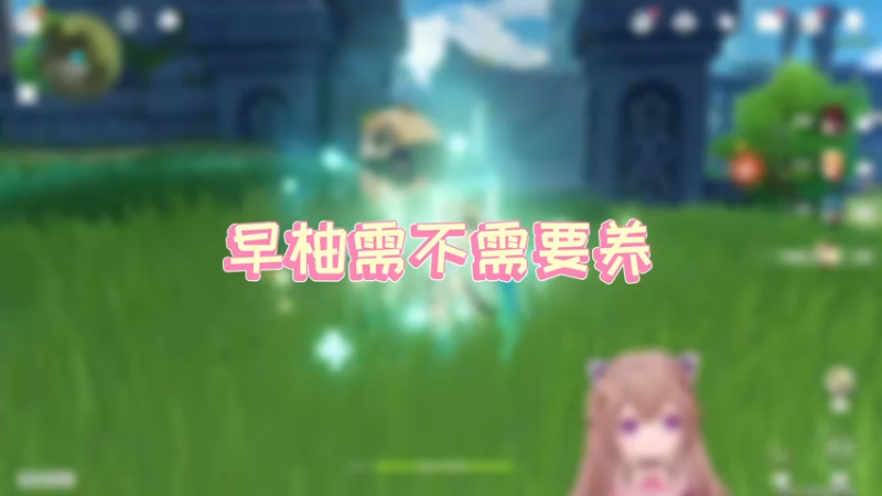 【原神】早柚需不需要养