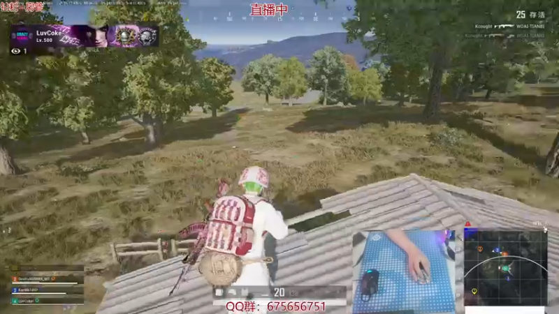 【2021-11-09 20点场】PP阳：老板可上车，操作指挥型主播~