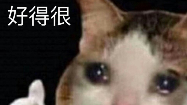 做教学没人看打排位遇牛马
