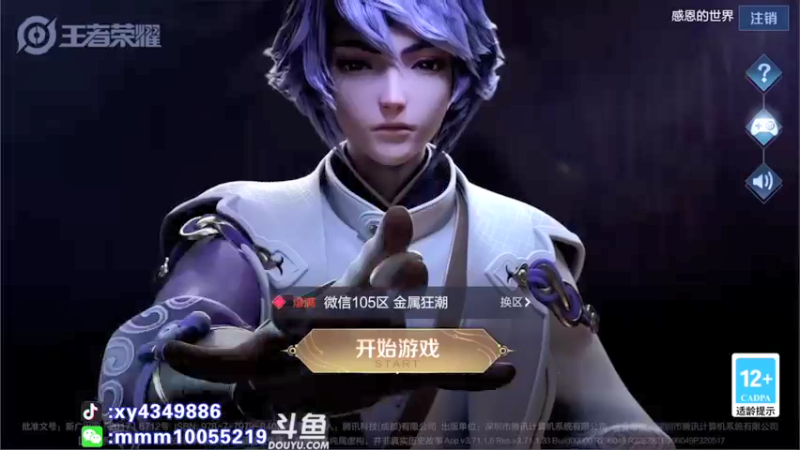 【2021-11-11 20点场】逍遥小诸葛丶：国服诸葛 视觉盛宴！