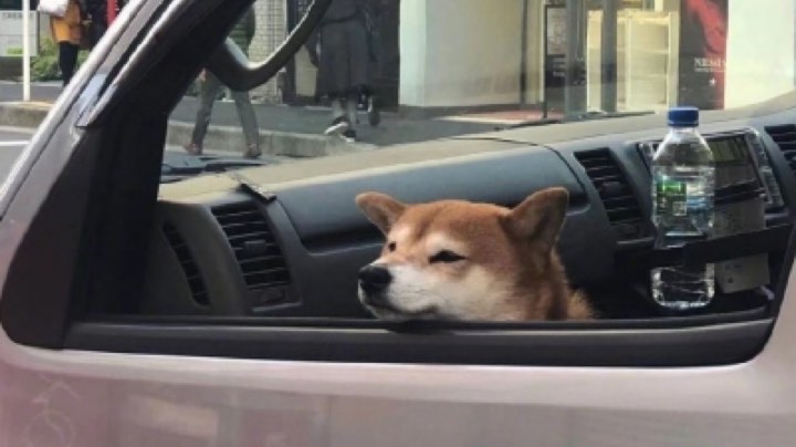 对掏送了一套房