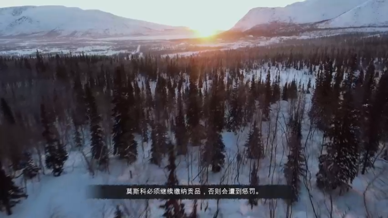 【2021-11-08 17点场】胆小怕死的圈圈：战术反恐小队