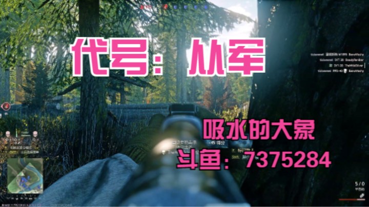 半自动步枪利用掩体击杀敌人  代号：从军