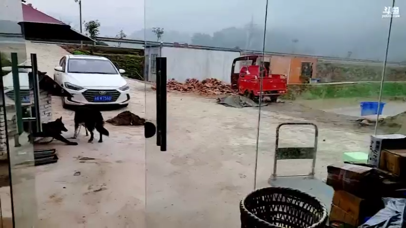 【2021-11-11 10点场】逐梦兄弟：祝各位单身节日快乐