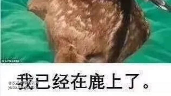 辐射高校