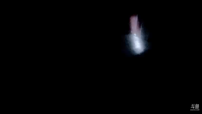 【2021-11-11 21点场】一条小团团OvO：今天七点播密室咯！！！！啊啊啊啊