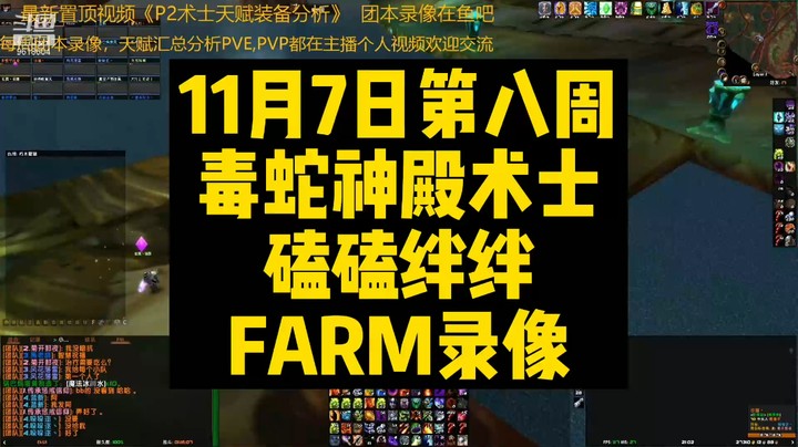 11月7日第八周毒蛇神殿术士磕磕绊绊FARM录像