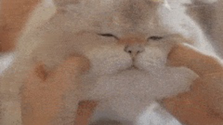 陪打