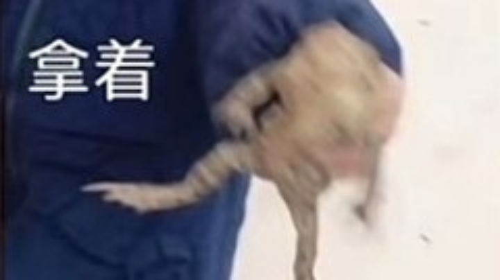 冲