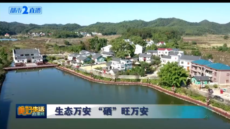【2021-11-11 10点场】都市现场官方直播间：生态万安 “硒”望万安