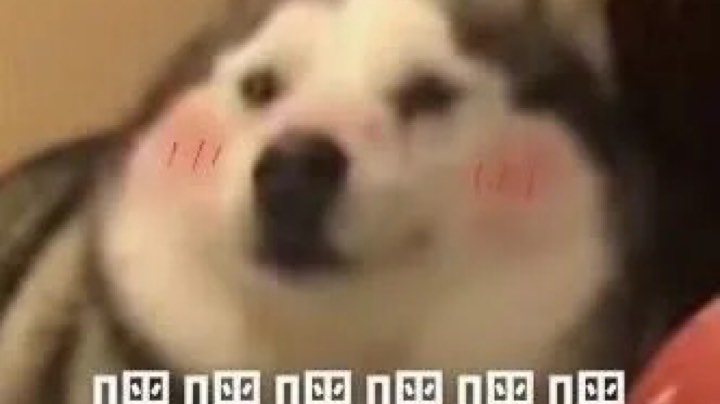 。