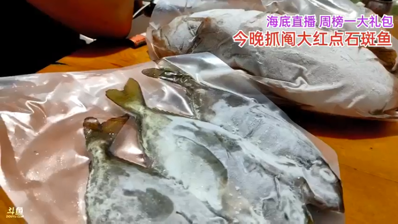【2021-11-11 22点场】海道丶：今晚海鲜美食节目