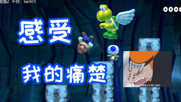 马里奥，感受到我的痛楚了吗？