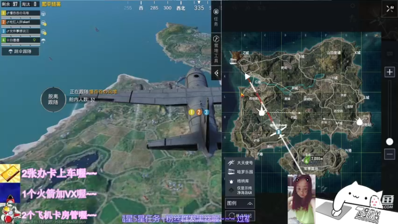 【2021-11-11 19点场】一只小小流浪猫：小菜鸟出没，请注意！！