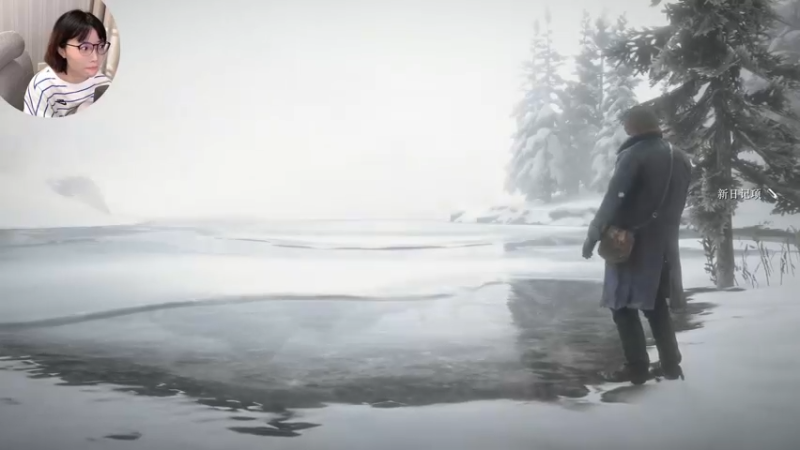 【2021-11-10 02点场】一番少侠29：荒野大镖客2：一周目第二章！