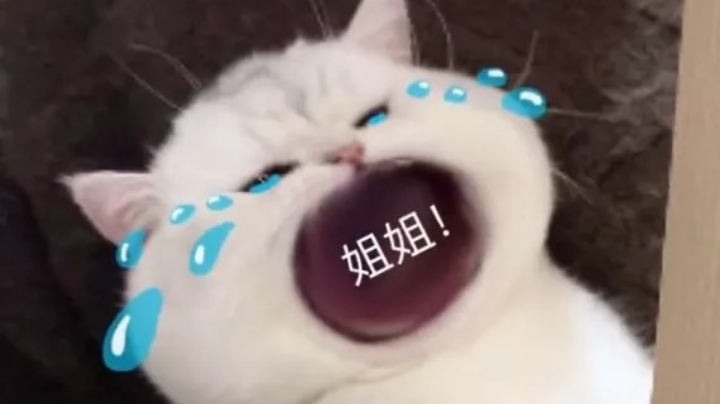 艾克