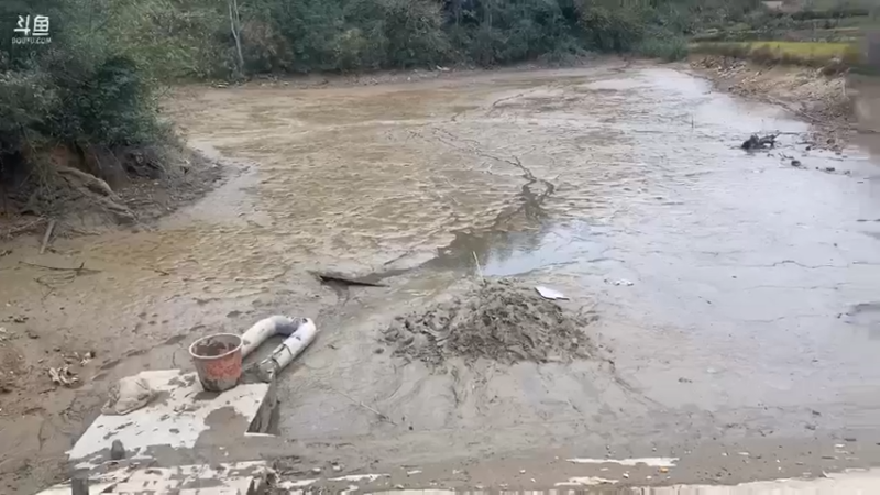 【2021-11-12 13点场】魅力生活i：清鱼塘找甲鱼