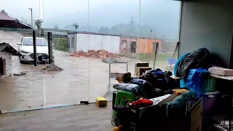 【2021-11-12 10点场】逐梦兄弟：十一点不见不散