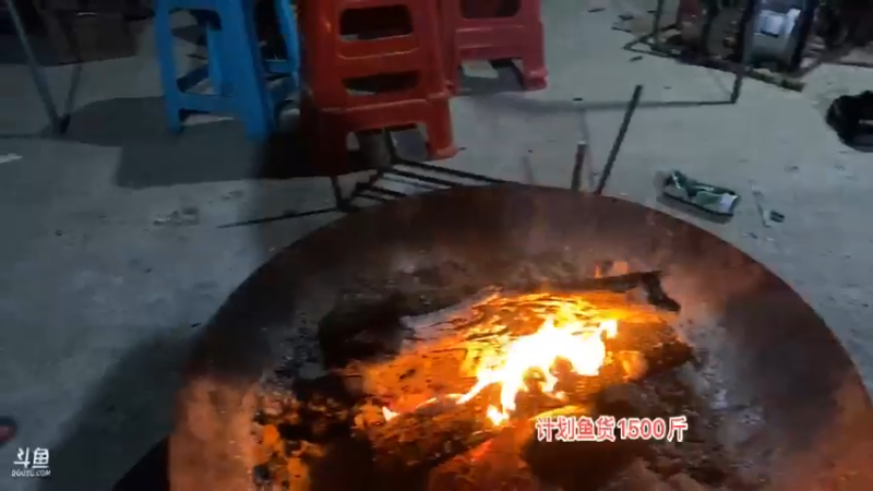 【2021-11-11 23点场】魅力生活i：继续干自家鱼塘