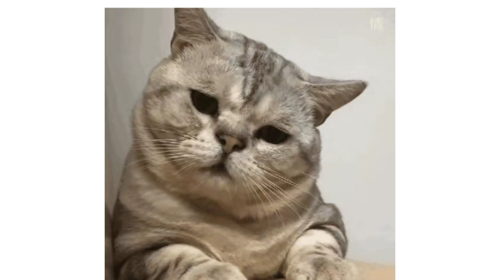 。。。