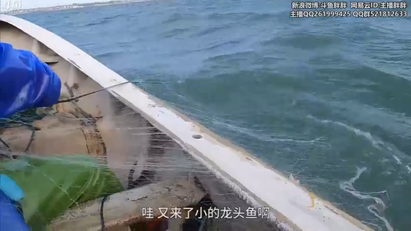 【2021-11-12 03点场】胖胖灬：胖胖OB： EDG\RNG\TES打韩服