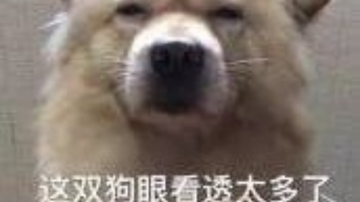 无聊的一天呢