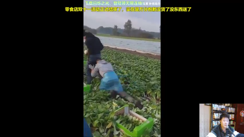 【2021-11-12 01点场】放逐大帝灬：康王出风头战队集结，挑战职业阵容！