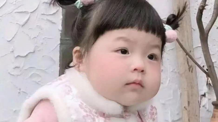 猪八多学多看