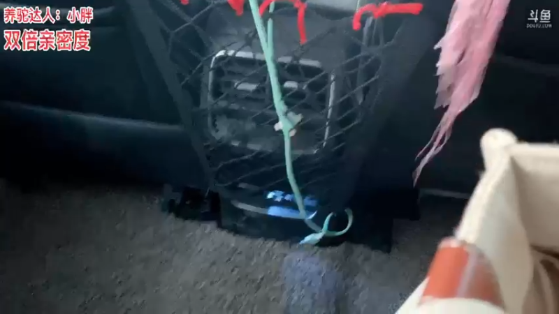 【2021-11-12 16点场】骆歆冲冲冲：骆歆：晚上播