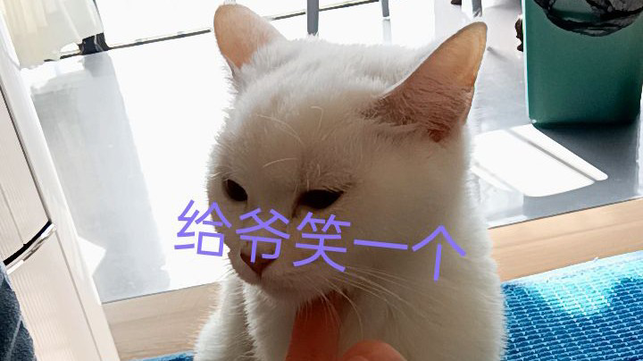 排位上分加油