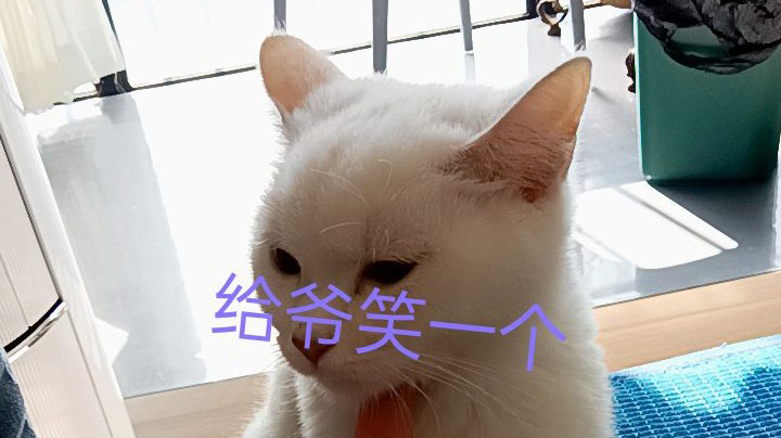 排位上分加油