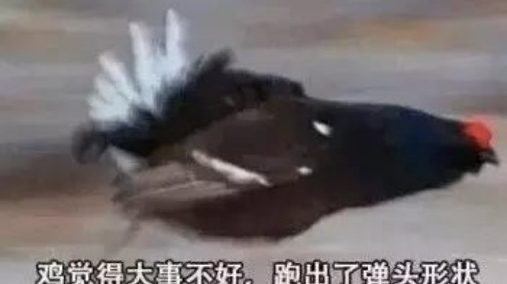 补位必是辅助的一天