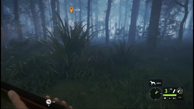 【2021-11-07 19点场】小白的招财猫：我们是冠军~耶~~