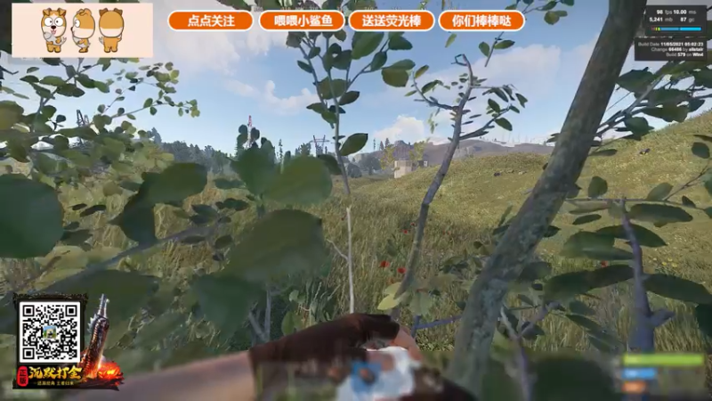 【2021-11-13 18点场】GY阳哥：开荒了 点点关注