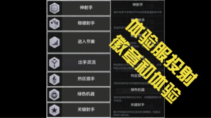 【电竞BB凯】体验服投射徽章初体验