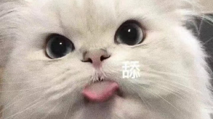 美服Sorry参见