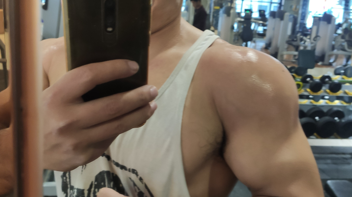 肩部训练。