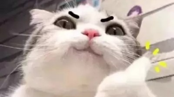 。